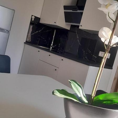Apartma Ana Koper Eksteriør billede