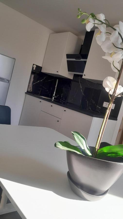 Apartma Ana Koper Eksteriør billede